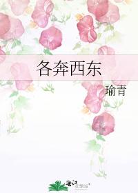 史小坑的爆笑生活10